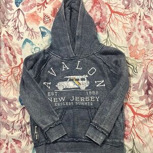 Avalon New Jersey Hoodie